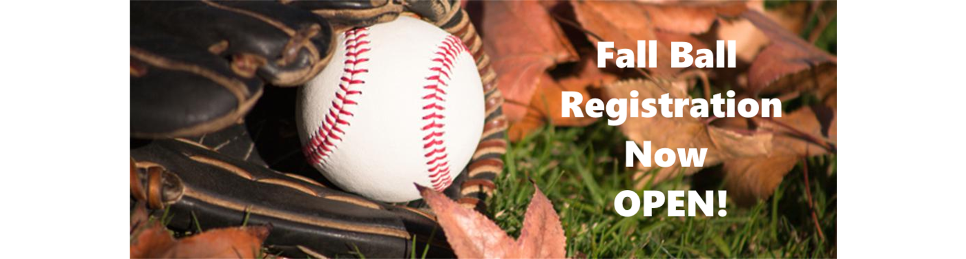 Fall Ball Registration Now Closed!